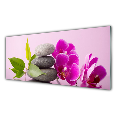 Quadro vetro Orchidea Fiori di orchidea