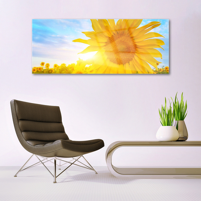 Quadro in vetro Girasole Girasole