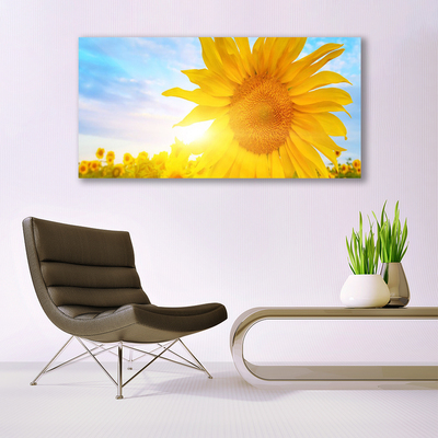 Quadro in vetro Girasole Girasole