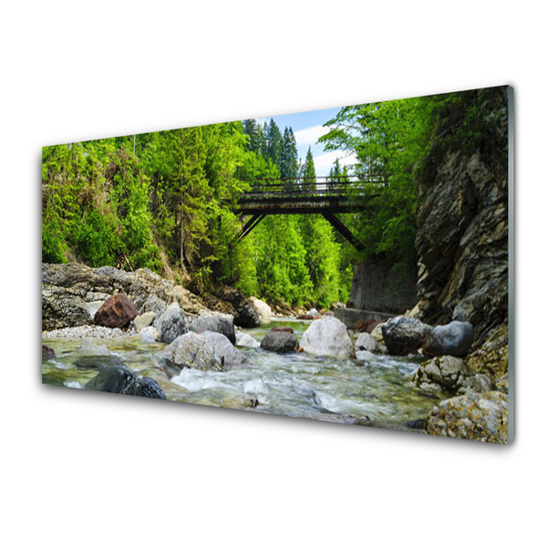 Quadro di vetro Ponte di legno nella foresta