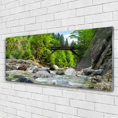 Quadro di vetro Ponte di legno nella foresta