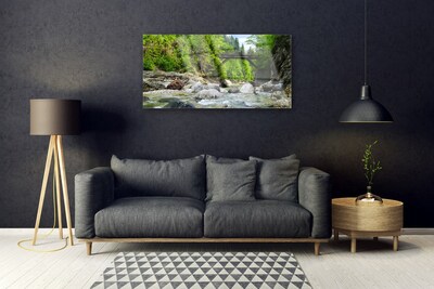 Quadro di vetro Ponte di legno nella foresta