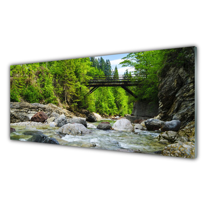 Quadro di vetro Ponte di legno nella foresta