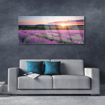 Quadro in vetro Campi di lavanda Prato Ovest