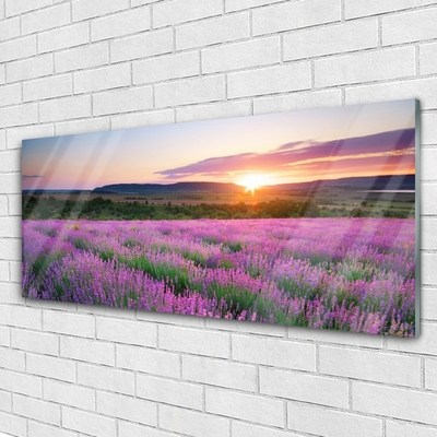 Quadro in vetro Campi di lavanda Prato Ovest