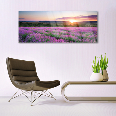 Quadro in vetro Campi di lavanda Prato Ovest