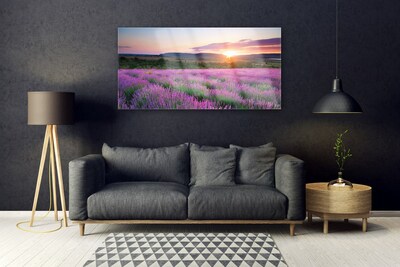 Quadro in vetro Campi di lavanda Prato Ovest