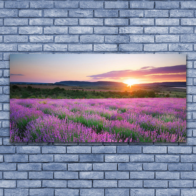 Quadro in vetro Campi di lavanda Prato Ovest