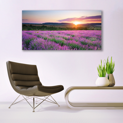 Quadro in vetro Campi di lavanda Prato Ovest