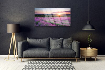 Quadro in vetro Campi di lavanda Prato Ovest