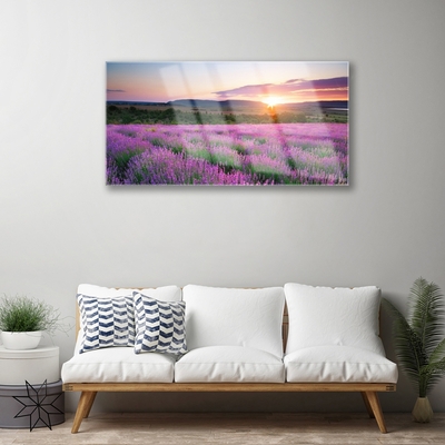 Quadro in vetro Campi di lavanda Prato Ovest