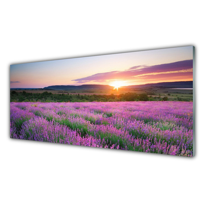 Quadro in vetro Campi di lavanda Prato Ovest