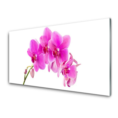 Quadro vetro Fiore di orchidea