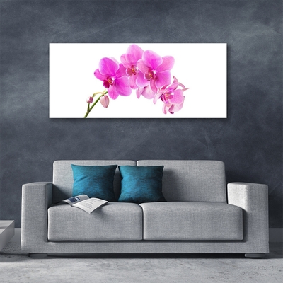 Quadro vetro Fiore di orchidea