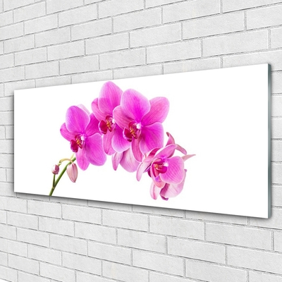 Quadro vetro Fiore di orchidea