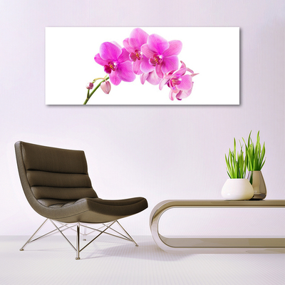 Quadro vetro Fiore di orchidea