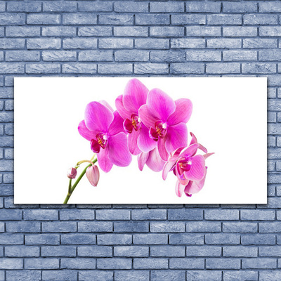 Quadro vetro Fiore di orchidea