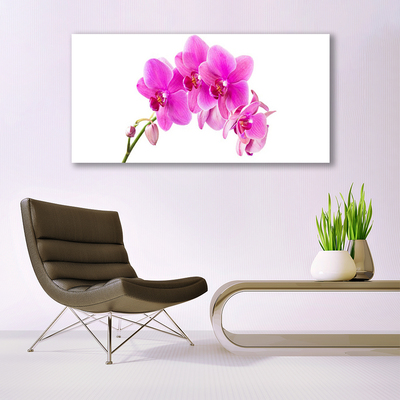 Quadro vetro Fiore di orchidea