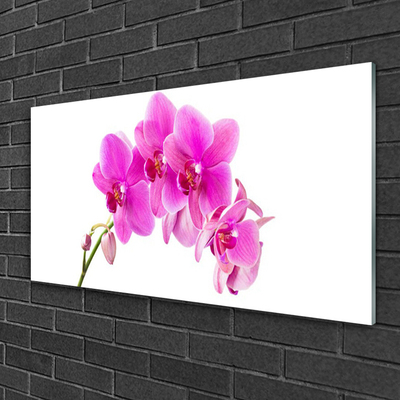 Quadro vetro Fiore di orchidea