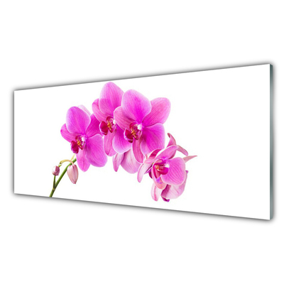 Quadro vetro Fiore di orchidea