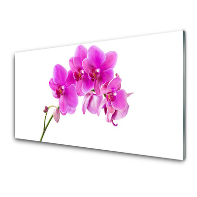 Quadro vetro Fiore di orchidea