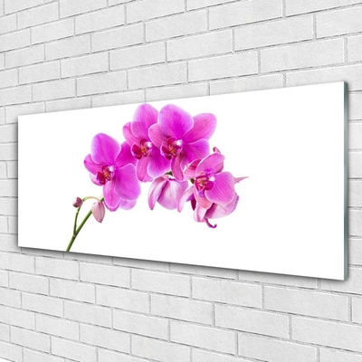 Quadro vetro Fiore di orchidea