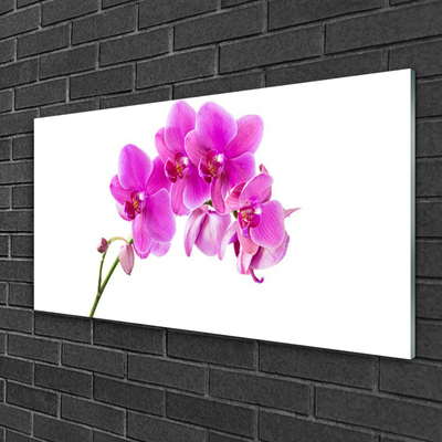 Quadro vetro Fiore di orchidea