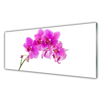 Quadro vetro Fiore di orchidea