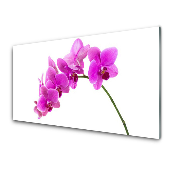 Quadro su vetro Fiore di orchidea