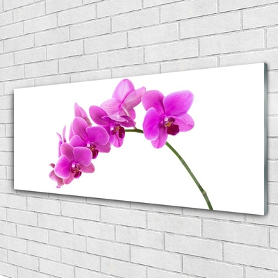 Quadro su vetro Fiore di orchidea