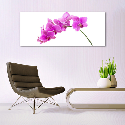 Quadro su vetro Fiore di orchidea