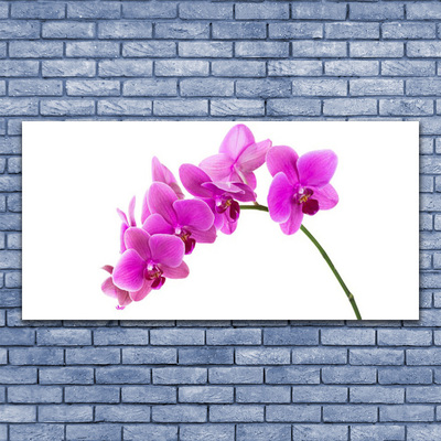 Quadro su vetro Fiore di orchidea