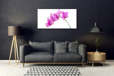 Quadro su vetro Fiore di orchidea