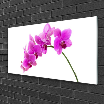 Quadro su vetro Fiore di orchidea