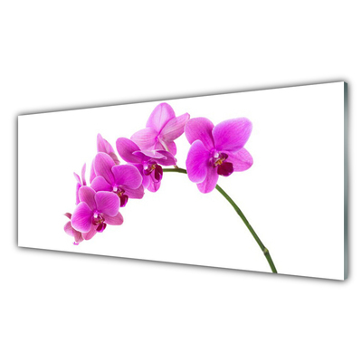 Quadro su vetro Fiore di orchidea