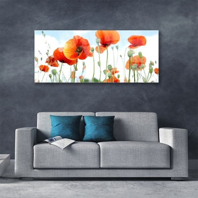 Quadro di vetro Fiori Papaveri Prato Campo Natura