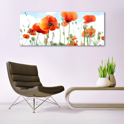 Quadro di vetro Fiori Papaveri Prato Campo Natura