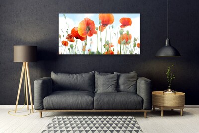 Quadro di vetro Fiori Papaveri Prato Campo Natura