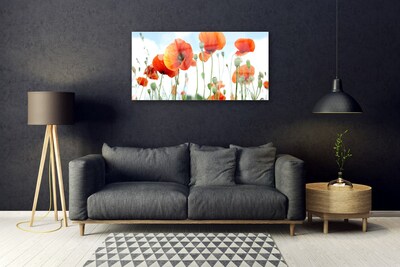 Quadro di vetro Fiori Papaveri Prato Campo Natura