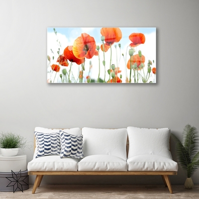 Quadro di vetro Fiori Papaveri Prato Campo Natura