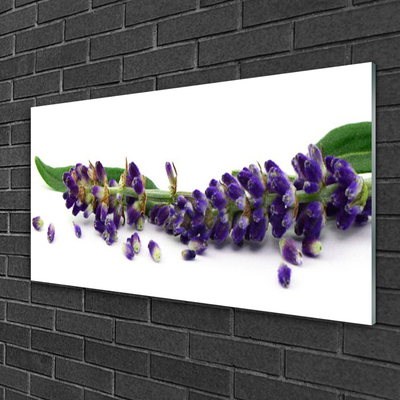 Quadro su vetro Natura morta alla lavanda