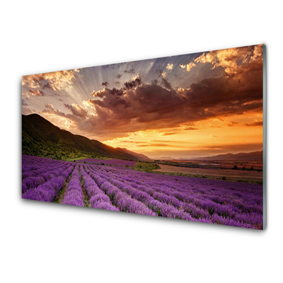 Quadro di vetro Campo di lavanda al tramonto