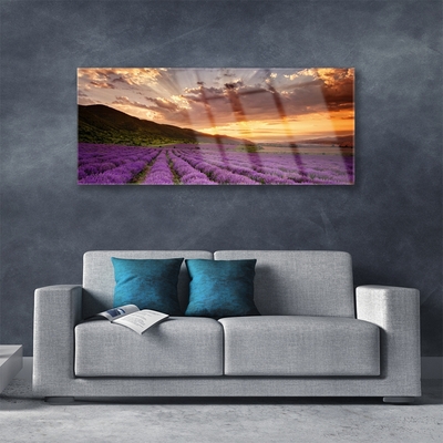 Quadro di vetro Campo di lavanda al tramonto