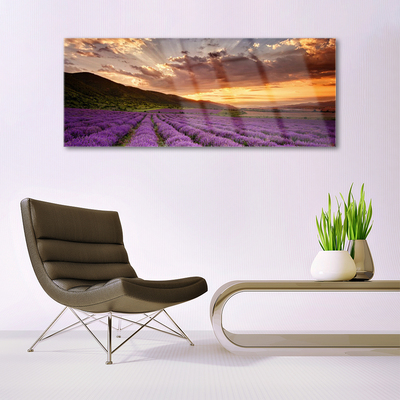 Quadro di vetro Campo di lavanda al tramonto