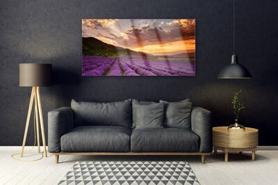 Quadro di vetro Campo di lavanda al tramonto