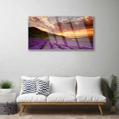 Quadro di vetro Campo di lavanda al tramonto