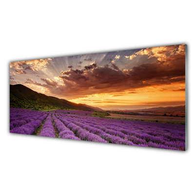 Quadro di vetro Campo di lavanda al tramonto