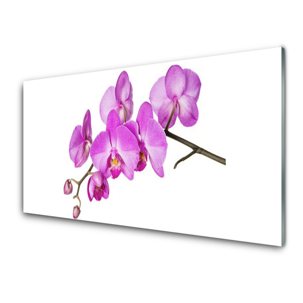 Quadro vetro Orchidea Fiori di orchidea