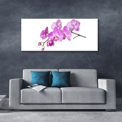 Quadro vetro Orchidea Fiori di orchidea