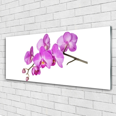 Quadro vetro Orchidea Fiori di orchidea